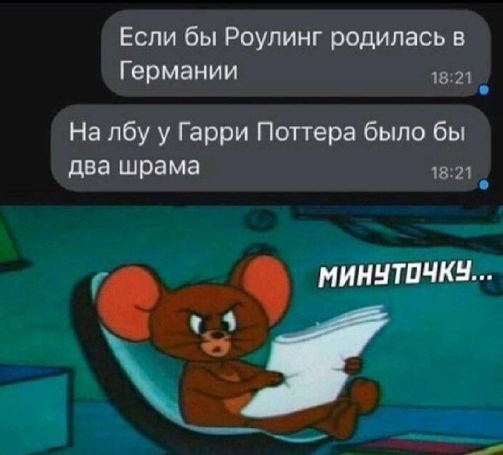 Если бы Роулинг родилась в Германии 18:21 На лбу у Гарри Поттера было бы два шрама 18:21 МИНЧУТОЧКУ...