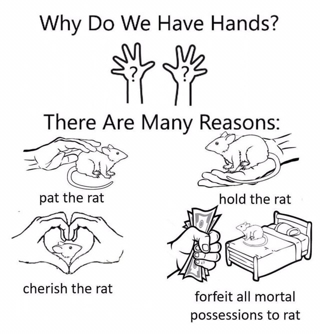 Why We Have Hands? There Are Many Reasons Я pat the rat hold the rat cherish the rat forfeit all mortal possessions to rat