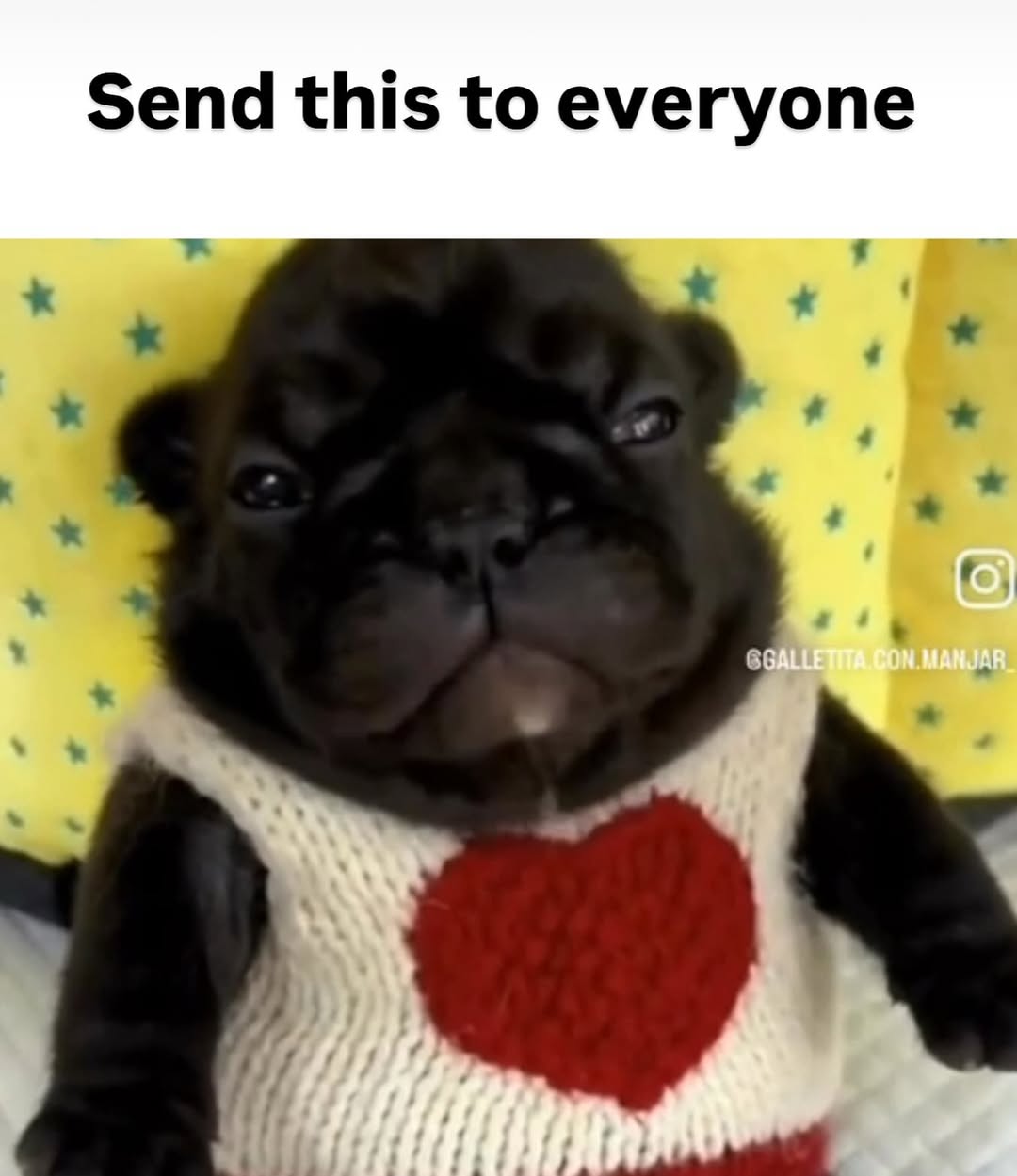 Send this to everyone