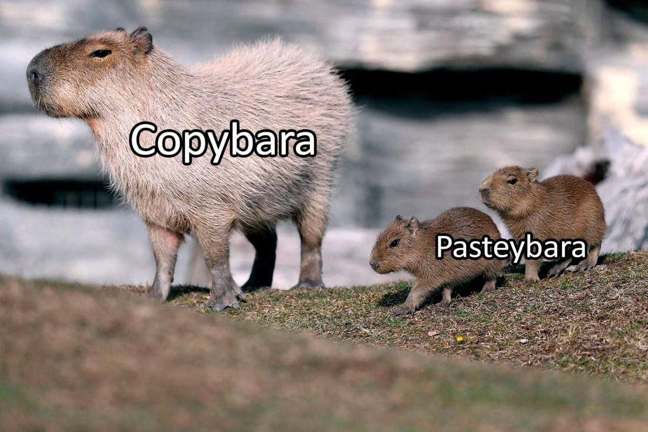 4 А» OWN А a a AN Pasteybar а, 5» 977 22 We of rie a