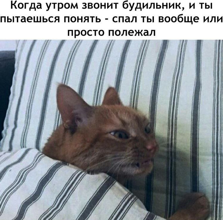 Когда утром звонит будильник, и ты пытаешься понять спал ты вообще или просто полежал 7
