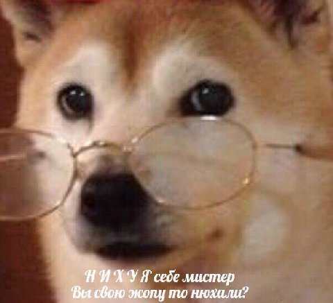 себе мистер Вы свою то нюхали?