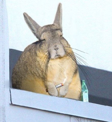 о