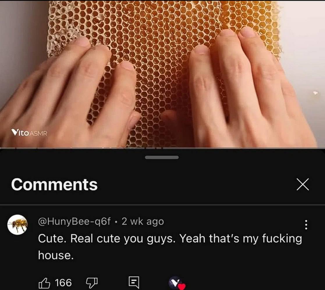Comments Cute. Real cute you guys. Yeah that’s my fucking house. у