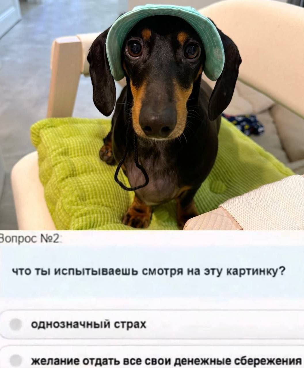 №2 что ты испытываешь смотря на эту картинку? однозначный страх желание отдать все свои денежные сбережения