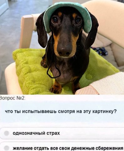 №2 что ты испытываешь смотря на эту картинку? однозначный страх желание отдать все свои денежные сбережения