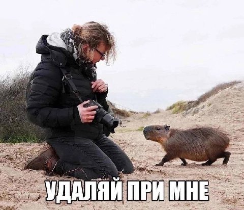 Я a 4 7 у 3