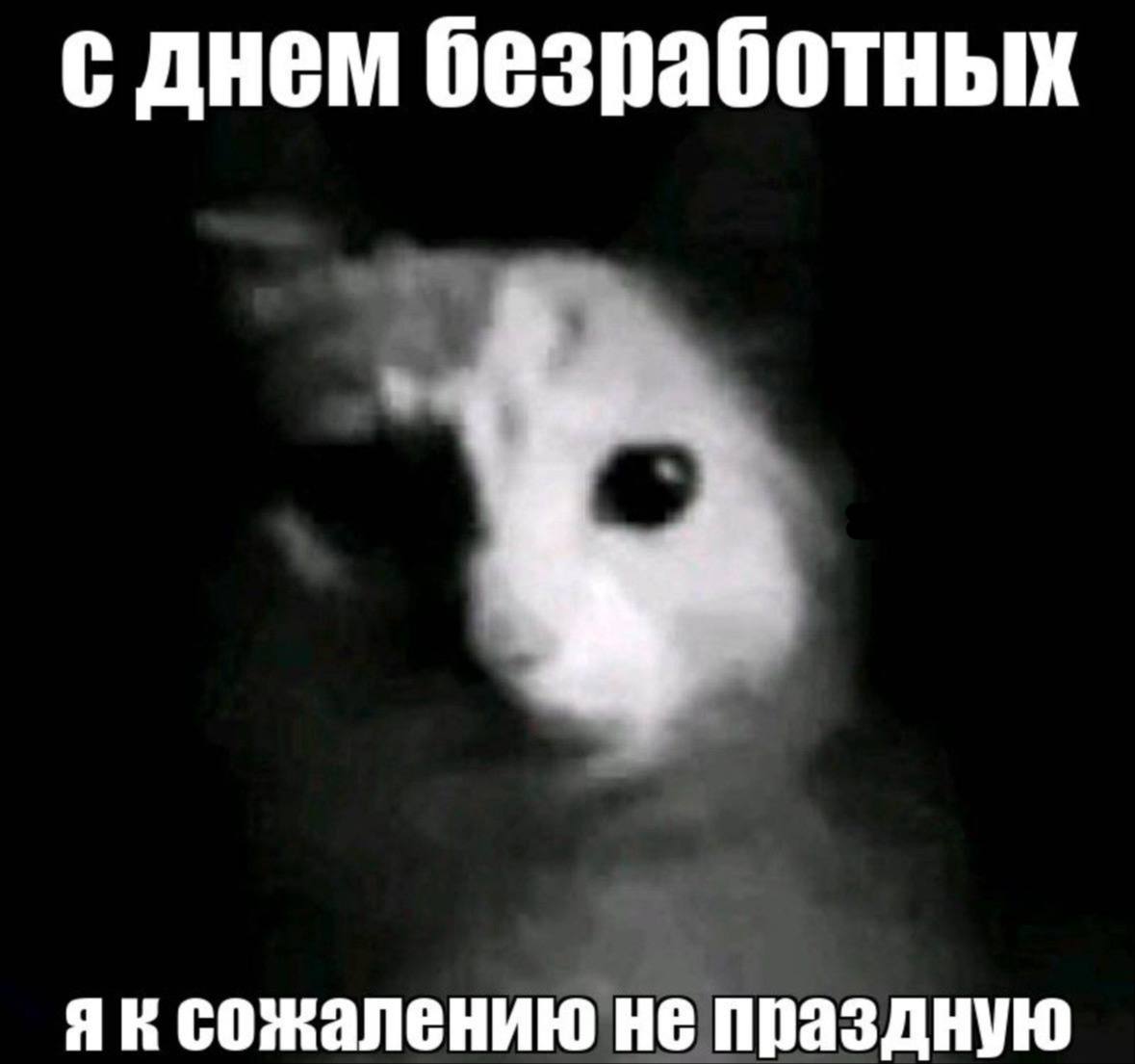 с днем безработных сожалению не праздную