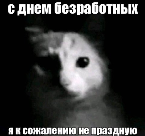 с днем безработных сожалению не праздную