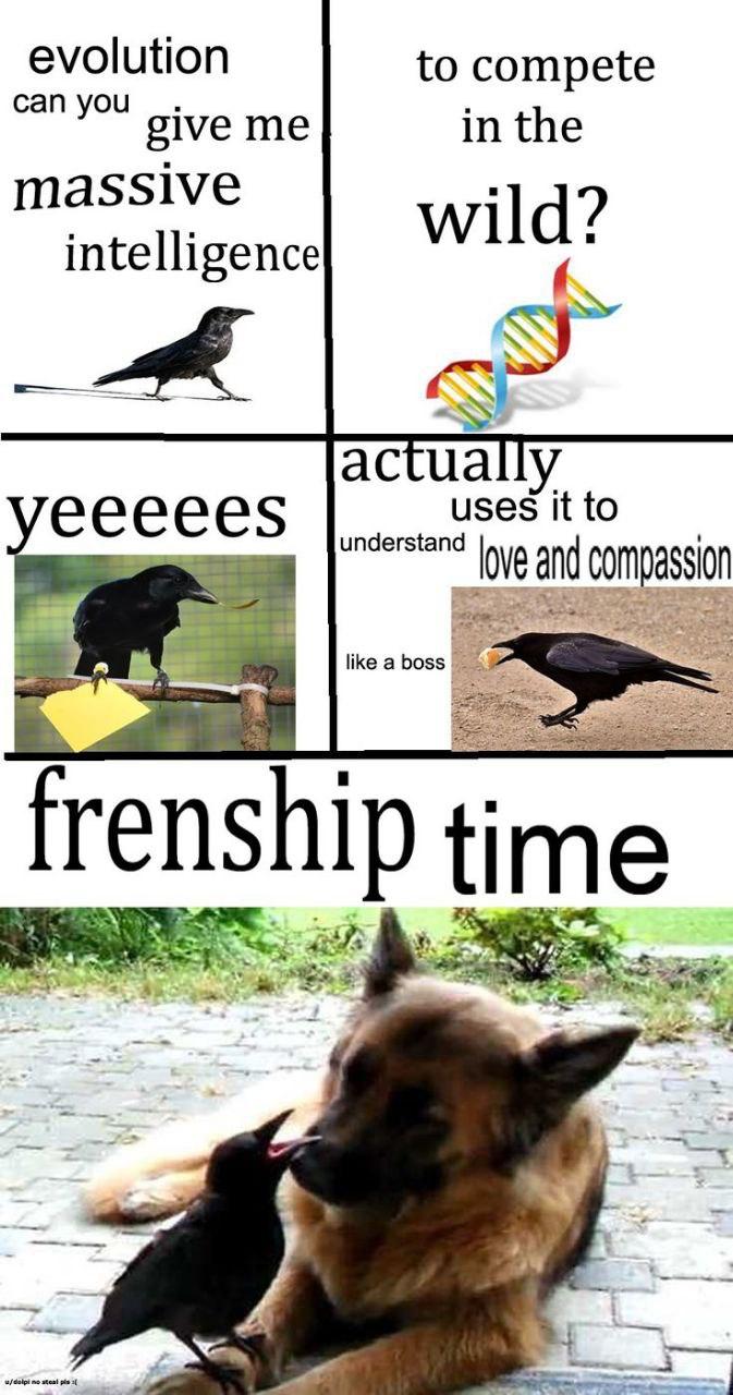 evolution to compete give me in the massive wild? intelligence actually eeeees uses It to love and compassion like а boss frenshi 4 4