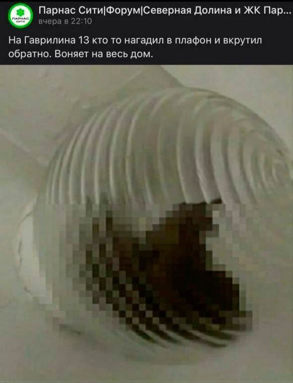 Парнас Сити|Форум!Северная Долина и Пар... вчера в 22:10 На Гаврилина 13 кто то нагадил в плафон и вкрутил обратно. Воняет на весь дом. it “a