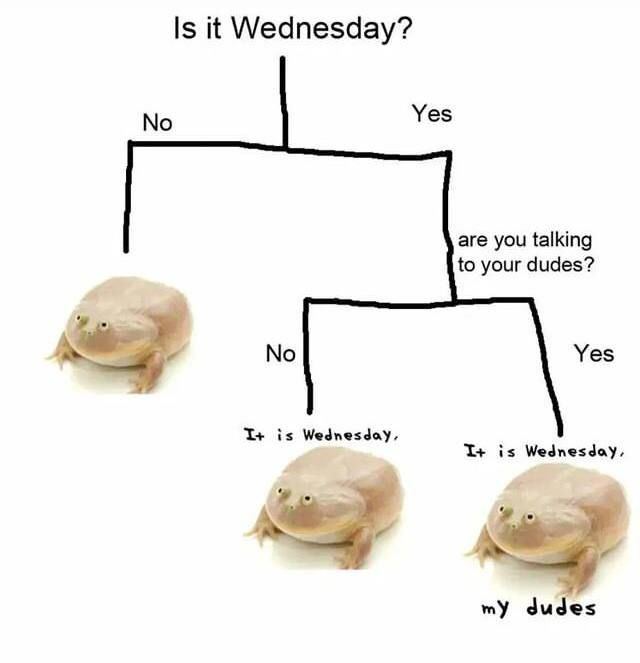 Is it Wednesday? No Yes are you talking to your dudes? No Yes I+ is Wednesday. is Wednesday, my dudes
