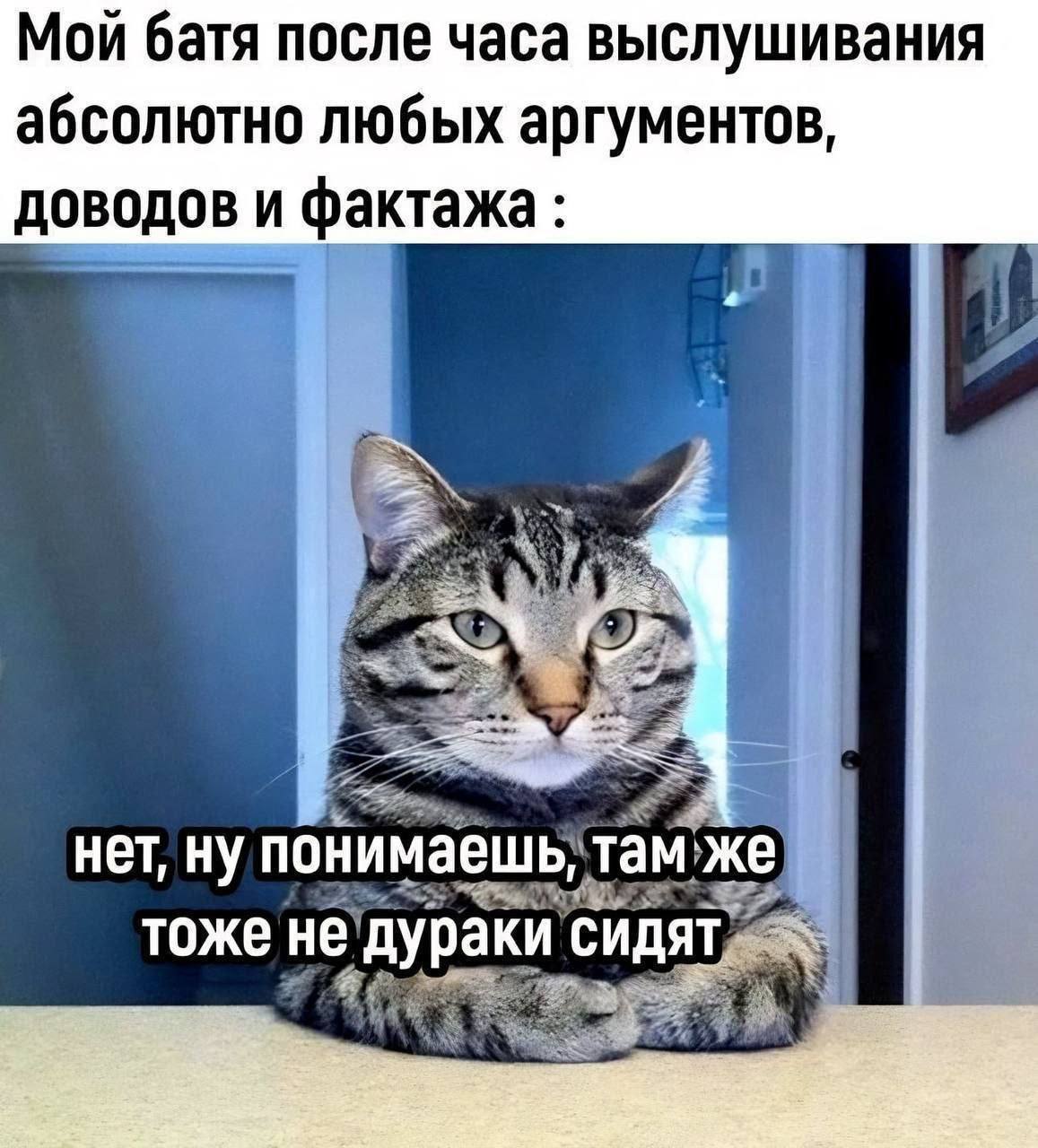 Мой батя после часа выслушивания абсолютно любых аргументов доводов и фактажа нет, ну поним ешь, там же тоже не СИДЯТ
