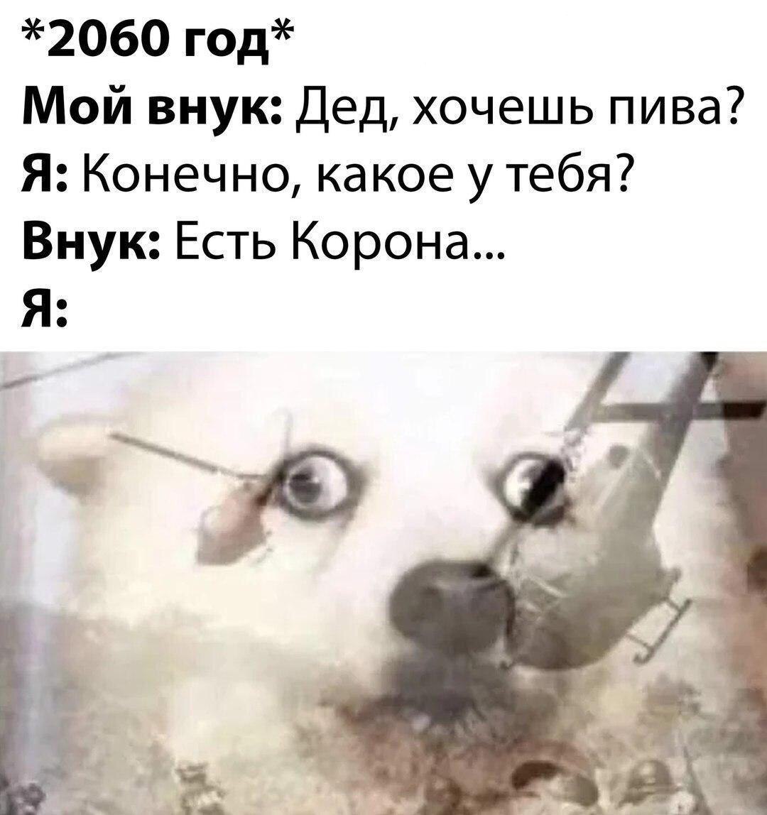 *2060 год* Мой внук: Дед, хочешь пива? Я: Конечно, какое у тебя? Внук: Есть Корона... Я