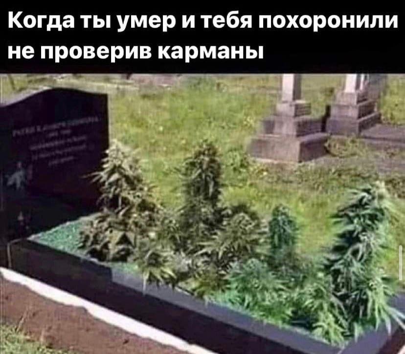 Когда ты умер и тебя похоронили не проверив карманы