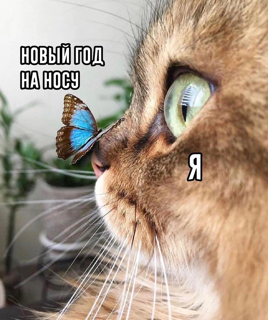 A НОВЫЙ 1 И we fer 4 Я 1 i lag