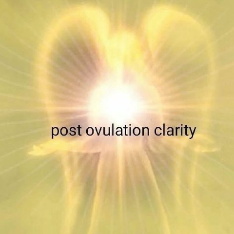 ovulation clar