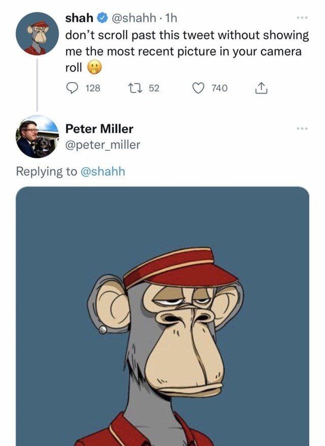 shah don’t scroll past this tweet without showing me the most recent picture in your camera roll (2) 128 52 740 Peter Miller У @peter_miller Replying to @shahh a