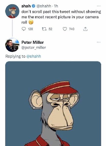 shah don’t scroll past this tweet without showing me the most recent picture in your camera roll (2) 128 52 740 Peter Miller У @peter_miller Replying to @shahh a