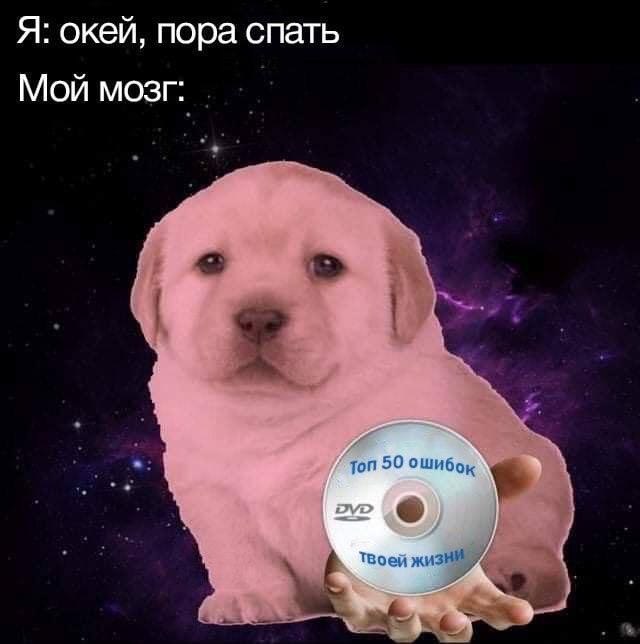 Я: окей, пора спать Мой мозг Топ 50 ошибок твоей