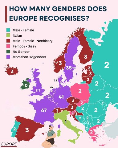 HOW МАМУ GENDERS DOES EUROPE мае Female Femboy Sissy мае Female Nonbinary Gender than 32 genders 74 38 41 67 EUROPE