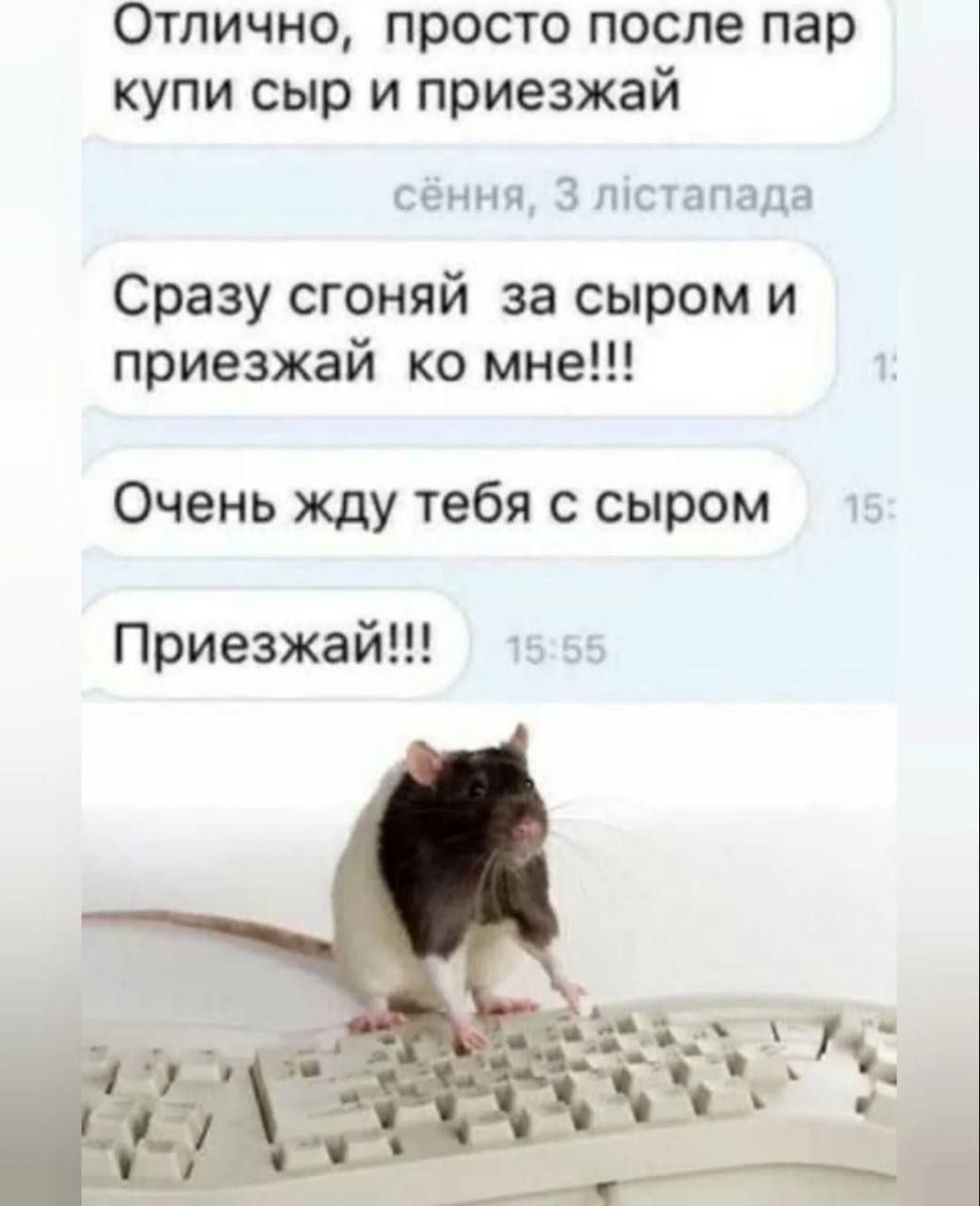Отлично, просто после пар купи сыр и приезжай сення, 3 лстапада Сразу сгоняй за сыром и приезжай мне!!! Очень жду тебя с сыром Приезжай!!! 7