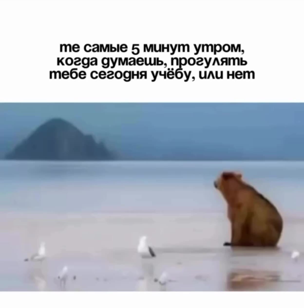 те самые 5 минут утром, тебе сегодня учёбу, или нет когда думаешь, + et ииь когда сумаекть, NOS yaa когда а (pony ить