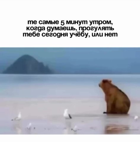 те самые 5 минут утром, тебе сегодня учёбу, или нет когда думаешь, + et ииь когда сумаекть, NOS yaa когда а (pony ить