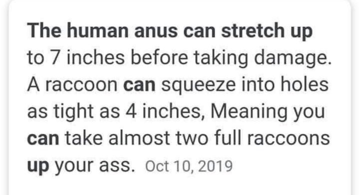 The human anus can stretch up to 7 inches before taking damage A raccoon can squeeze into holes as tight as 4 inches, Meaning you can take almost two full raccoons up уочг а$$. Oct 10, 2019