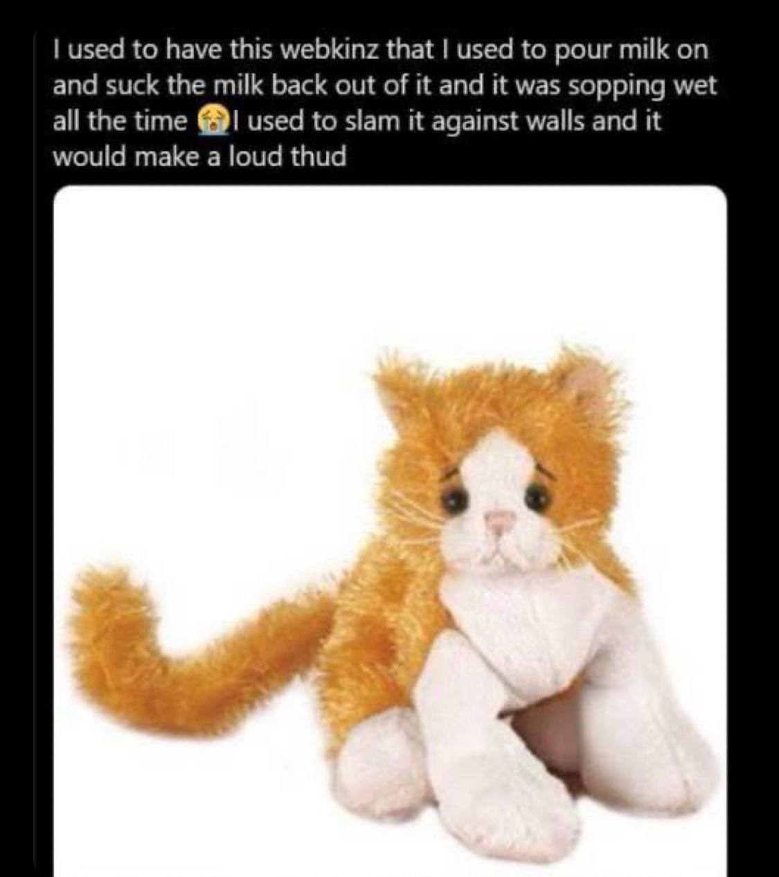 used to have this webkinz that used to pour milk and suck the milk back out of it and it was sopping wet all the time used to slam it against walls and it would make a loud thud
