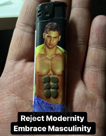 Reject Modernity Embrace Masculinity