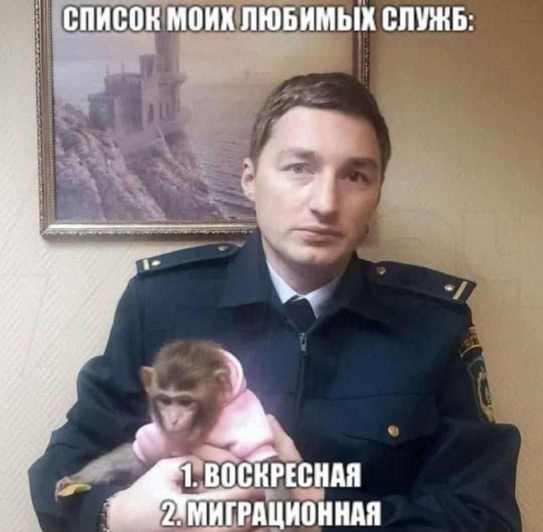 СПИСОК МОИХ ЛЮБИМЫХ СЛУЖБ: МИГРАЦИОННАЯ