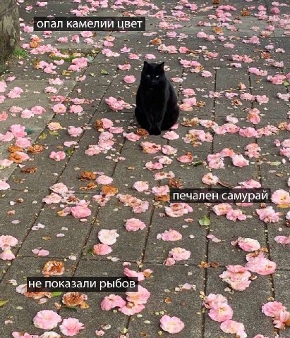onan камелии цвет печален самурай a показали рыбов “Be.