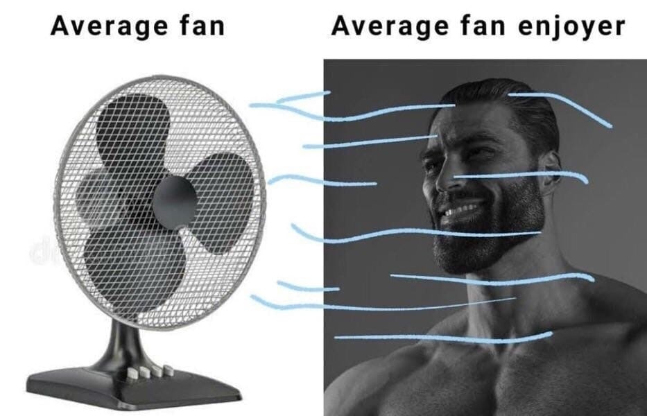 Average fan Average fan enjoyer