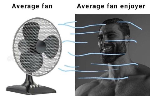 Average fan Average fan enjoyer