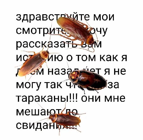 здравстеуйте мои о том как я я не могу ток тараканы!!! они мне меша