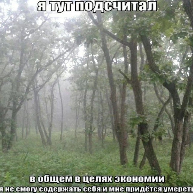 считал 12 aft в общем в целях экономии я не смогу содепжать себя и мне ппидется умепети