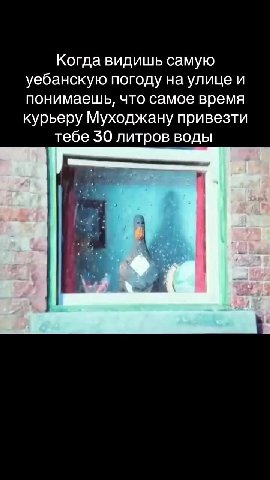Уебанскуютоподунаулищейй понимаешьитесамоевремя поподунаулицщей чпо{самое Муходжану Когда видишь самую уебанскую погоду на улице и понимаешь, что самое время курьеру Муходжану привезти тебе 30 литров