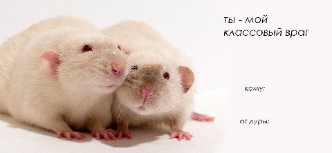 ТЫ МОЙ классовый А 4 2 кому: