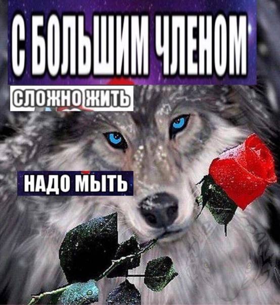 НАДО МЫТЬ