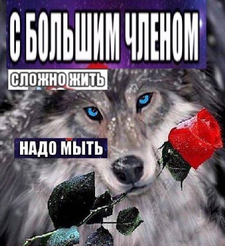 НАДО МЫТЬ
