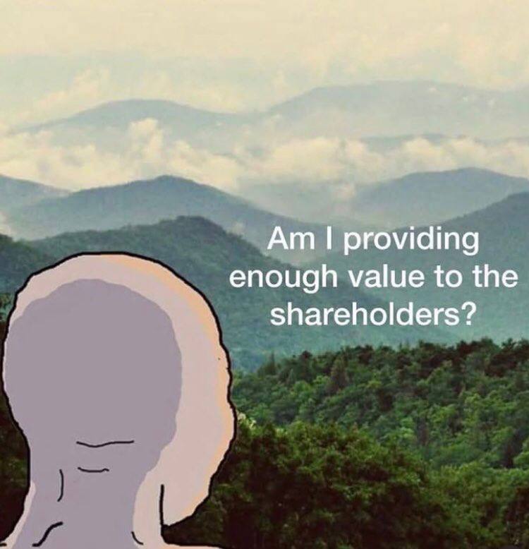 providing enough value to the shareholders?