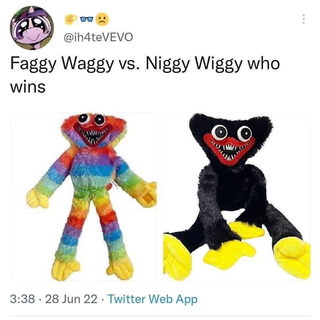25 @ih4teVEVO Fagsy Waggy Niggy Wiggy who wins у 3:38 28 Jun 22 Twitter Web App
