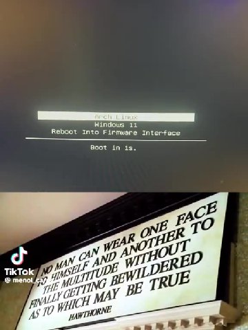 My ДЕЙ ТПРЕЕЕР Reboot Into Firmware Interface