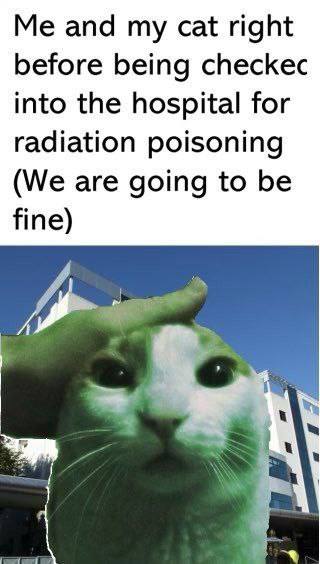 Me and my cat right before being checkec into the hospital for radiation poisoning (We are going to be fine)