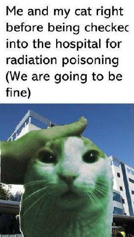Me and my cat right before being checkec into the hospital for radiation poisoning (We are going to be fine)