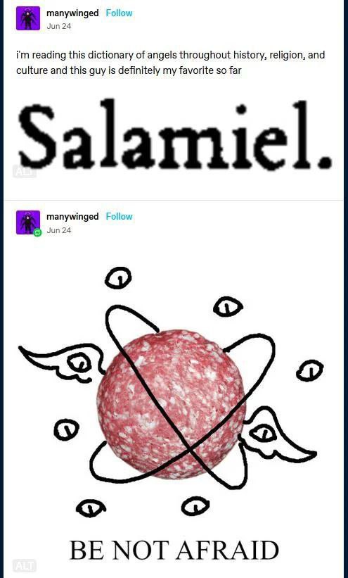 manywinged Follow Jun 24 reading this dictionary of angels throughout history, religion, and culture and this guy is definitely my favorite so far Salamiel. manywinged Follow Jun 24 BE NOT AFRAID