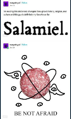 manywinged Follow Jun 24 reading this dictionary of angels throughout history, religion, and culture and this guy is definitely my favorite so far Salamiel. manywinged Follow Jun 24 BE NOT AFRAID