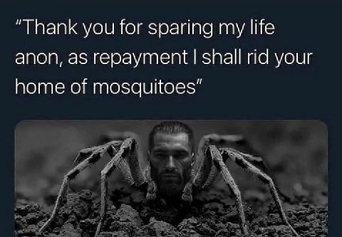 “Thank you for sparing my life anon, as repayment shall rid your home of mosquitoes”