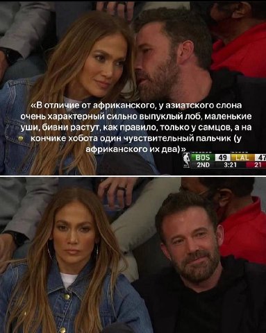 «В отличие от африканского, у азиатского слона очень характерный сильно выпуклый лоб, маленькие уши, бивни растут, как правило, только у самцов, а на кончике хобота один чувствительный пальчик (у афри
